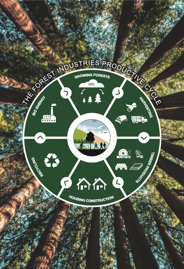 The forest industries productive cycle