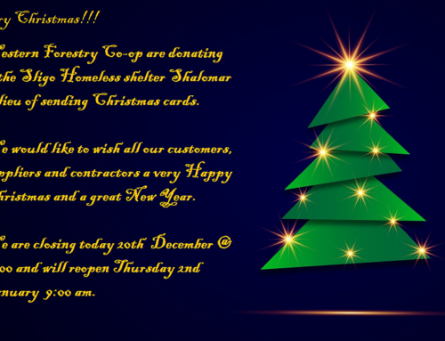 Merry Christmas!!